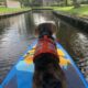 SUP in Giethoorn