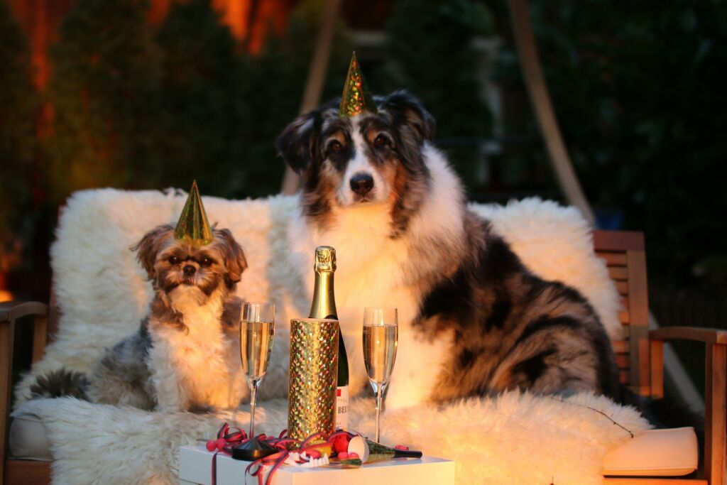 Silvester
