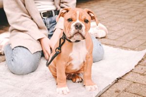 PHOTO-2025-08-08-19-40-20