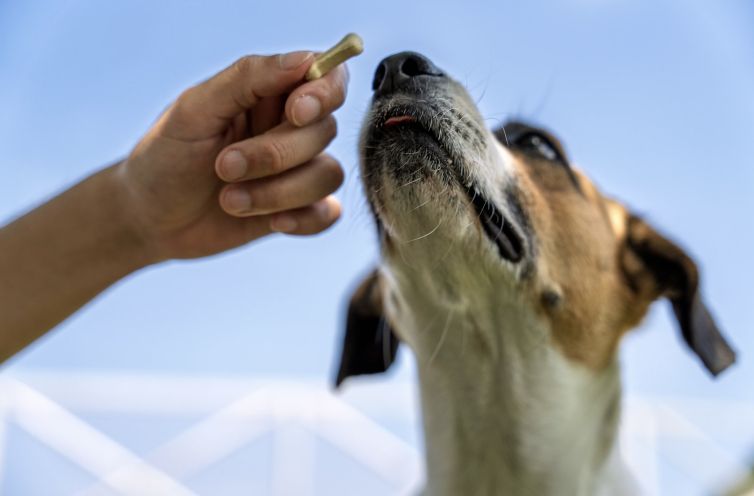 Design ohne Titel - 1