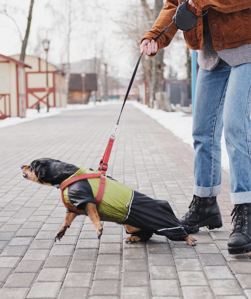 Design ohne Titel - 1 Leinenhelden