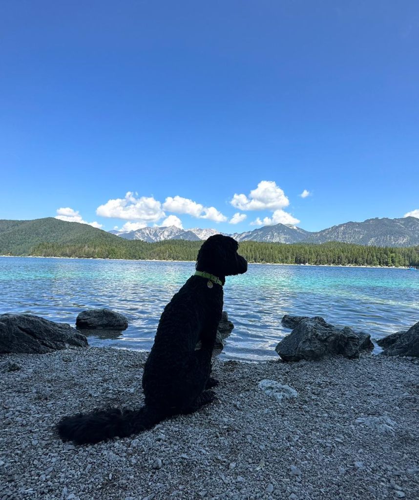 PHOTO-2023-06-13-17-25-39