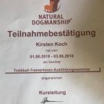 Treibball-TrainerInnen-Ausbildungsseminar Treibball-TrainerInnen-Ausbildungsseminar